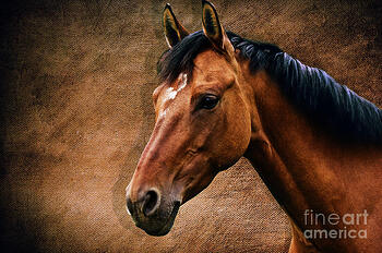 01824 Test Product (测试产品) Short Description