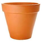 FlowerPot