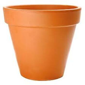 FlowerPot