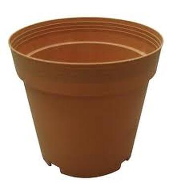 FlowerPot