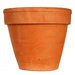 FlowerPot
