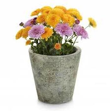 Designer Flower Pot