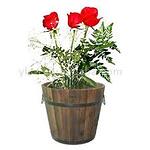 Designer Flower Pot