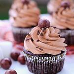Chocolate Cup Cake