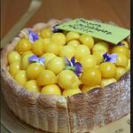 Mango Mousse Cake