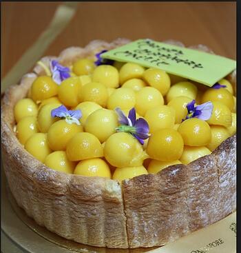 Mango Mousse Cake