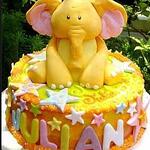 Baby Shower -1st Birthday Cake