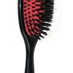 D81M Medium porcupine brush