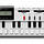 Casio VL Tone 1
