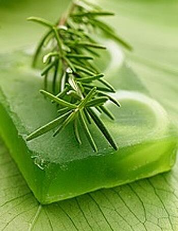 Organic Soap