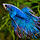 0001 Test Select 02