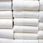 Commercial Laundry Service Contract Application