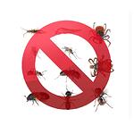 Pest Control Service inspection , consultation and cost estimate