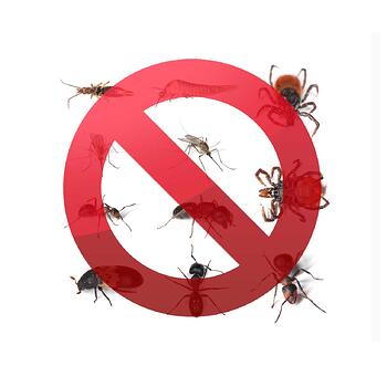 Pest Control Service inspection , consultation and cost estimate