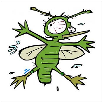 Pest Control Enquiry