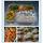 Home to Home Lunch Box -Premium