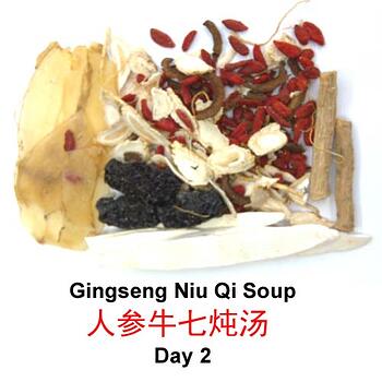 Ginseng Niu Qi Soup (人參牛膝汤）