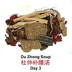 Du Zhong Soup (杜仲朴腰汤）