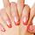 Premium Dish for Nail Extension