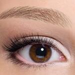 Certificate In EyeBrow Embroidery