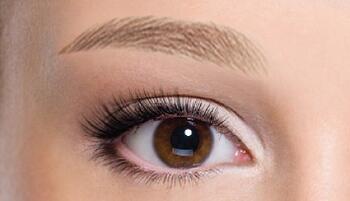 Certificate In EyeBrow Embroidery