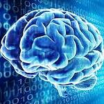 Introductory Workshop on Brain Activation for Adult (Form)