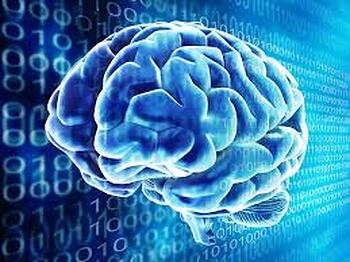 Introductory Workshop on Brain Activation for Adult (Form)