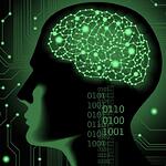 Brain Activation Registration for Adult