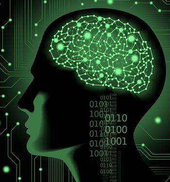 Brain Activation Registration for Adult