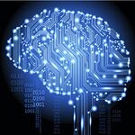 Introductory Workshop on Brain Activation for Adult (Book)