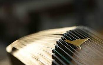 Chinese Guzheng Music Class Entry Level - 古筝基础班