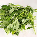 KangKong