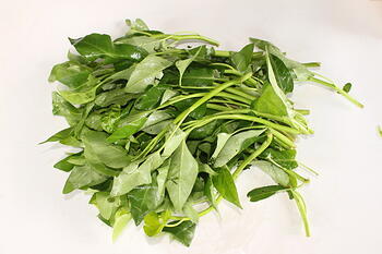 KangKong