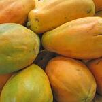 Papaya