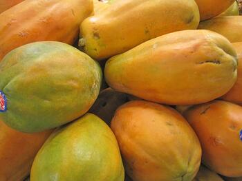 Papaya