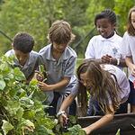 Farm Tour - For School