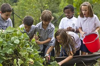 Farm Tour - For School