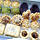Chinese New Year Cookies Voucher