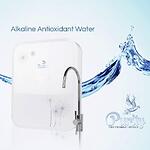 Antioxidant Alkaline Water System